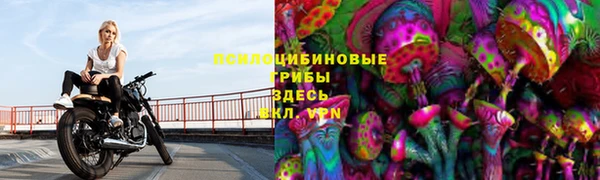 ешки Алексин