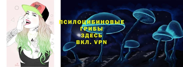 молекула духа Алзамай