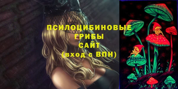 молекула духа Алзамай